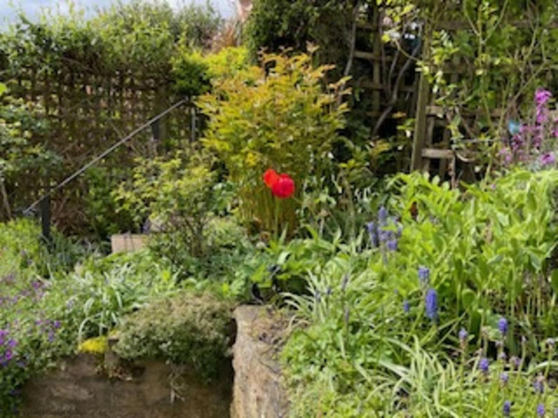 Picturesque Stone Cottage In The Heart Of North Yorkshire Village - Hideaway Cottage Екстериор снимка
